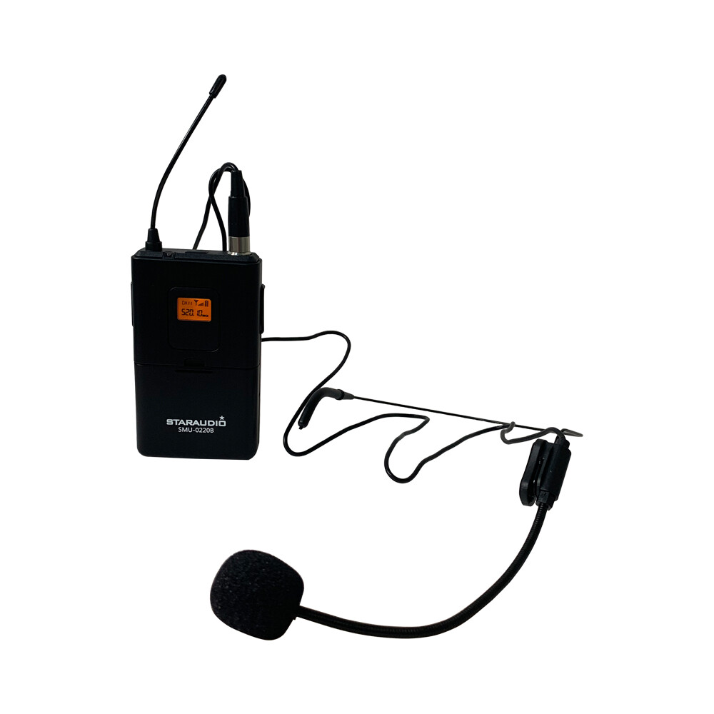 Wireless UHF DJ Microphone System 2 Channel Headset Lavalier Lapel Bodypack Mics
