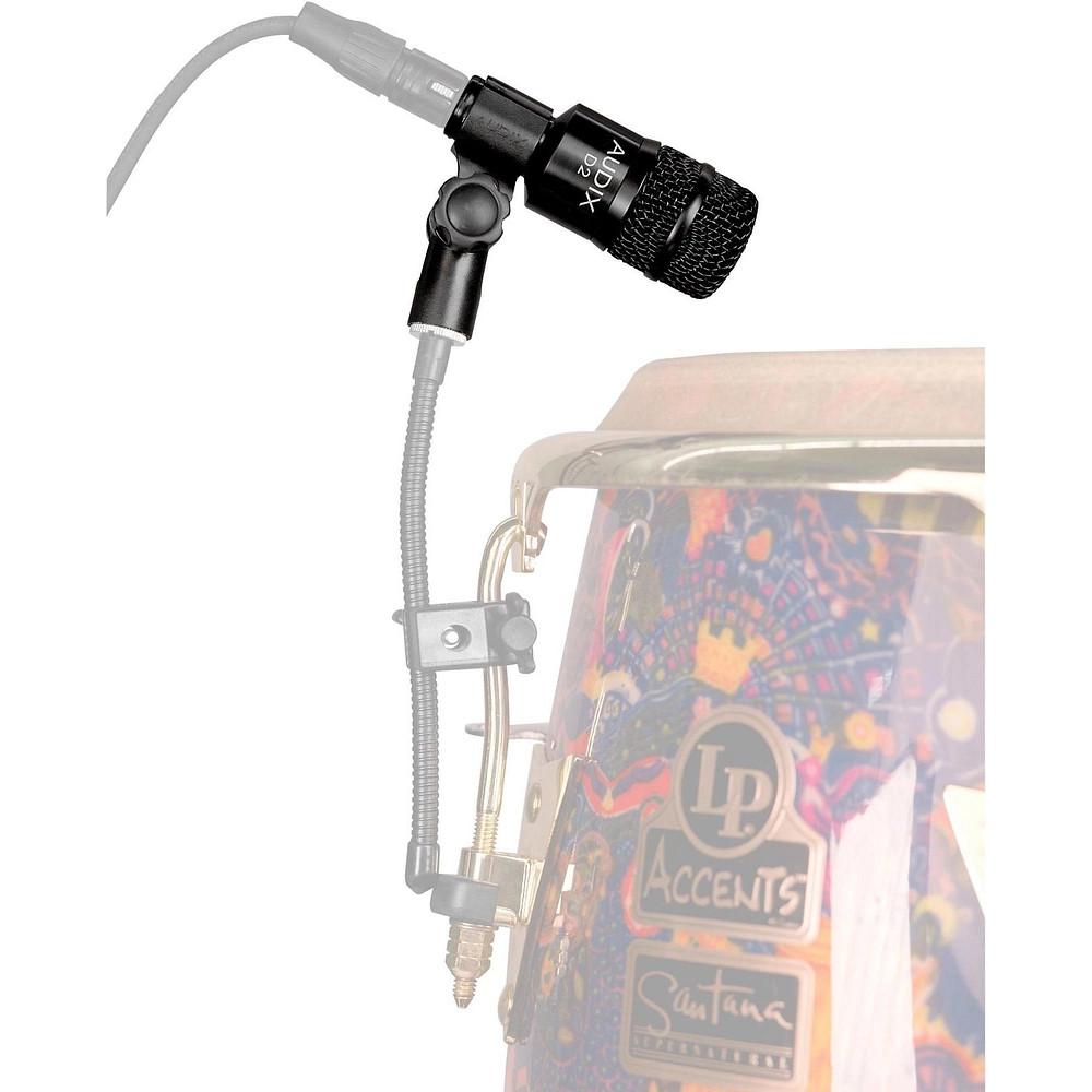 Audix D2 Drum Microphone