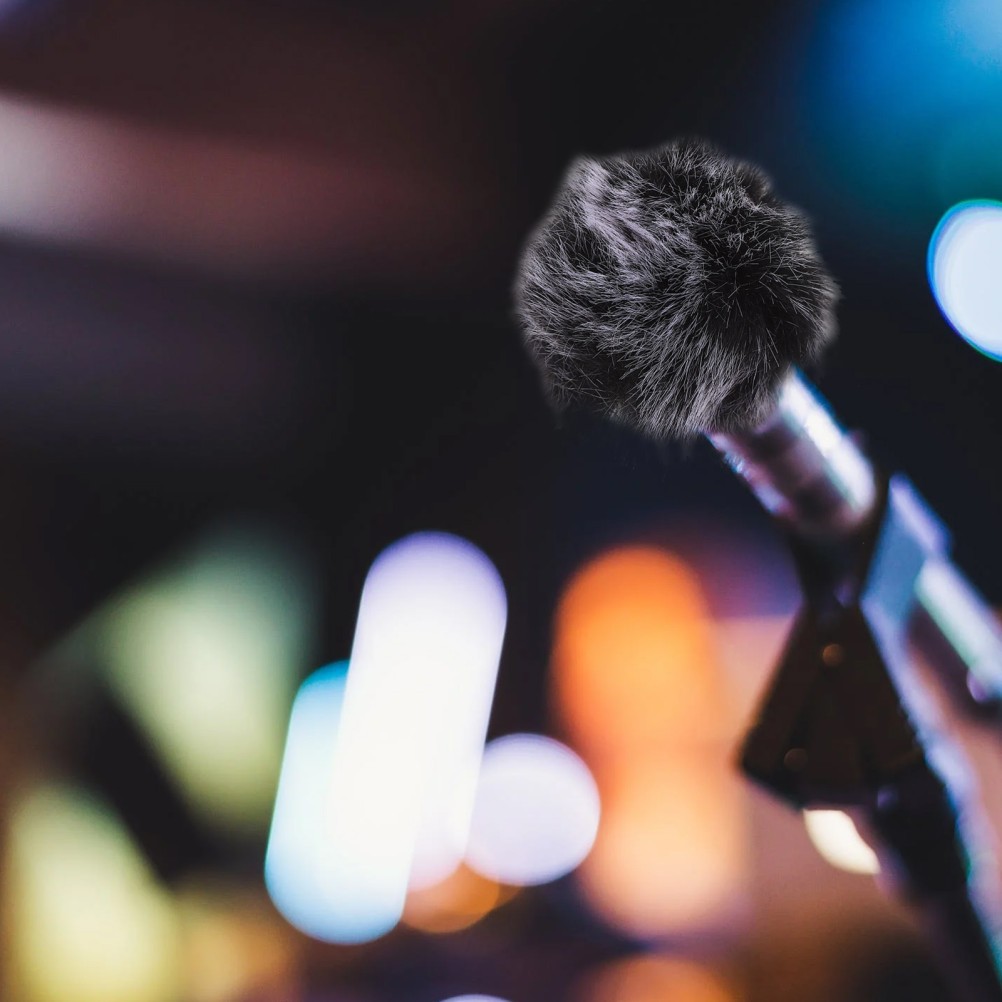 2Pcs Splash-proof Microphone Sleeve Practical Professional Microphone Cover