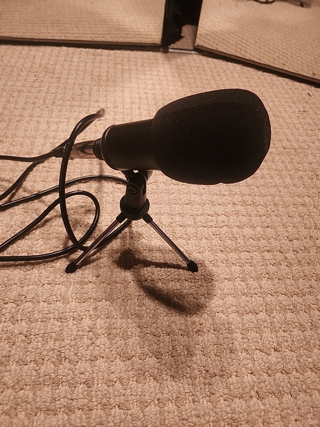 Jeemak Microphone With Tripod And Foam Cover