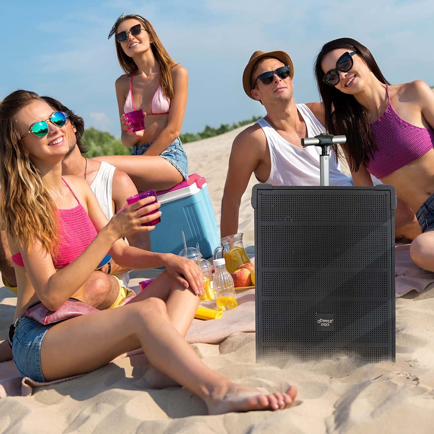 PylePro PWMA899A 8” Portable Wireless Bluetooth Speaker System
