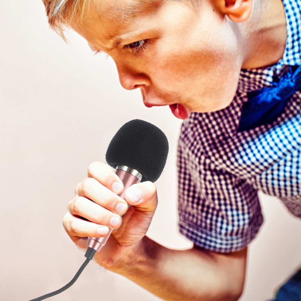 2Pcs Durable Miniature Alloy Microphone for Phone Live Broadcast and Recording