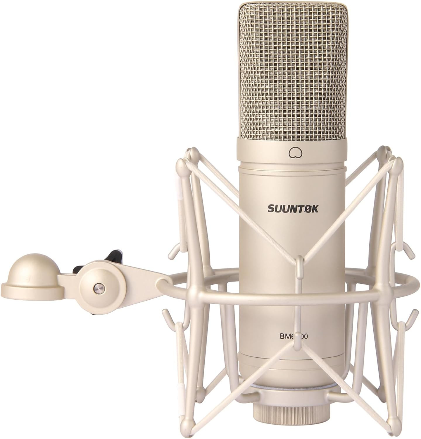 Condenser Microphone XLR, Large Diaphgram Professional Recording Cardioid Microp