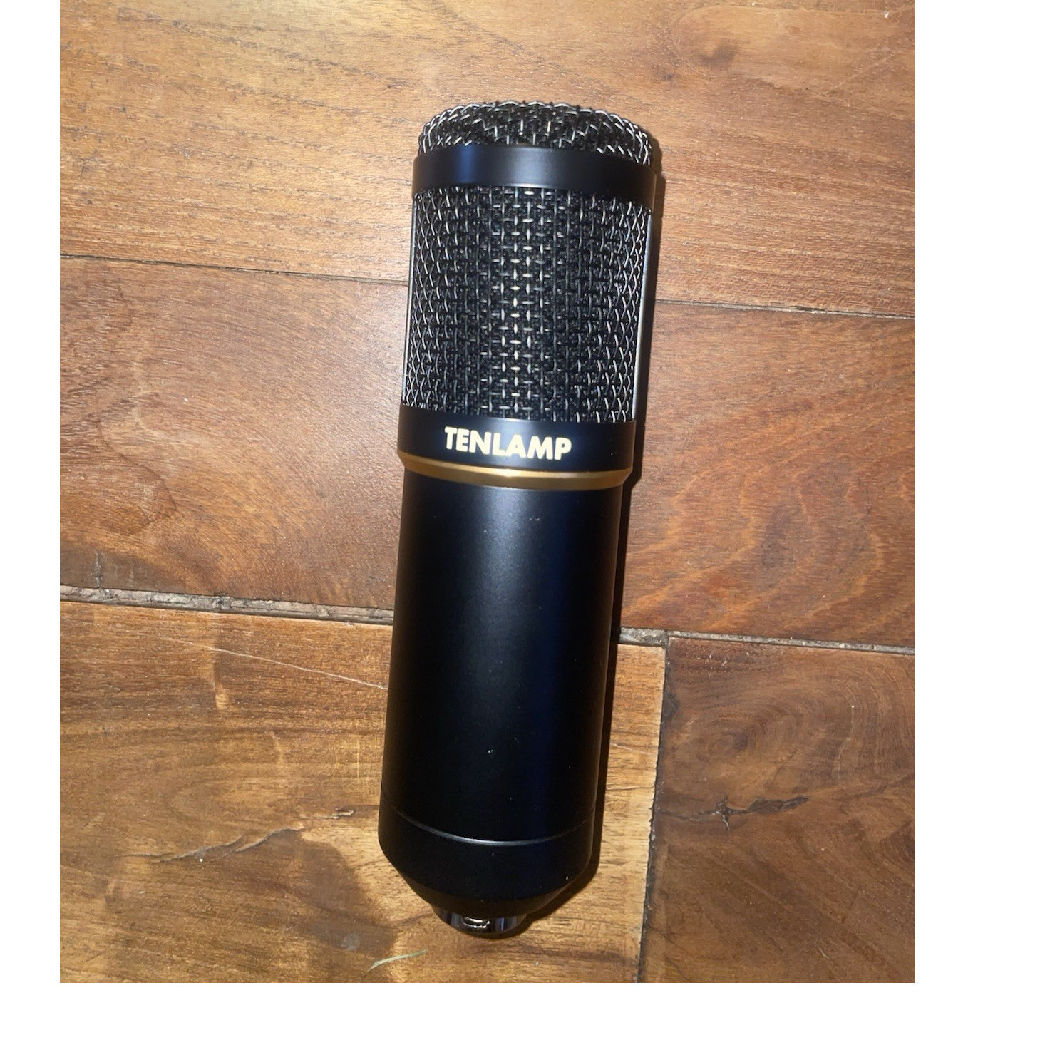TENLAMP Large Diaphragm Black Condenser Microphone XLR 3 Pin