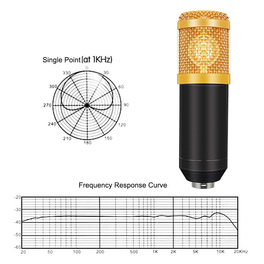 Professional Condenser Microphone Podcast Swing Arm or Karaoke Complete Kit