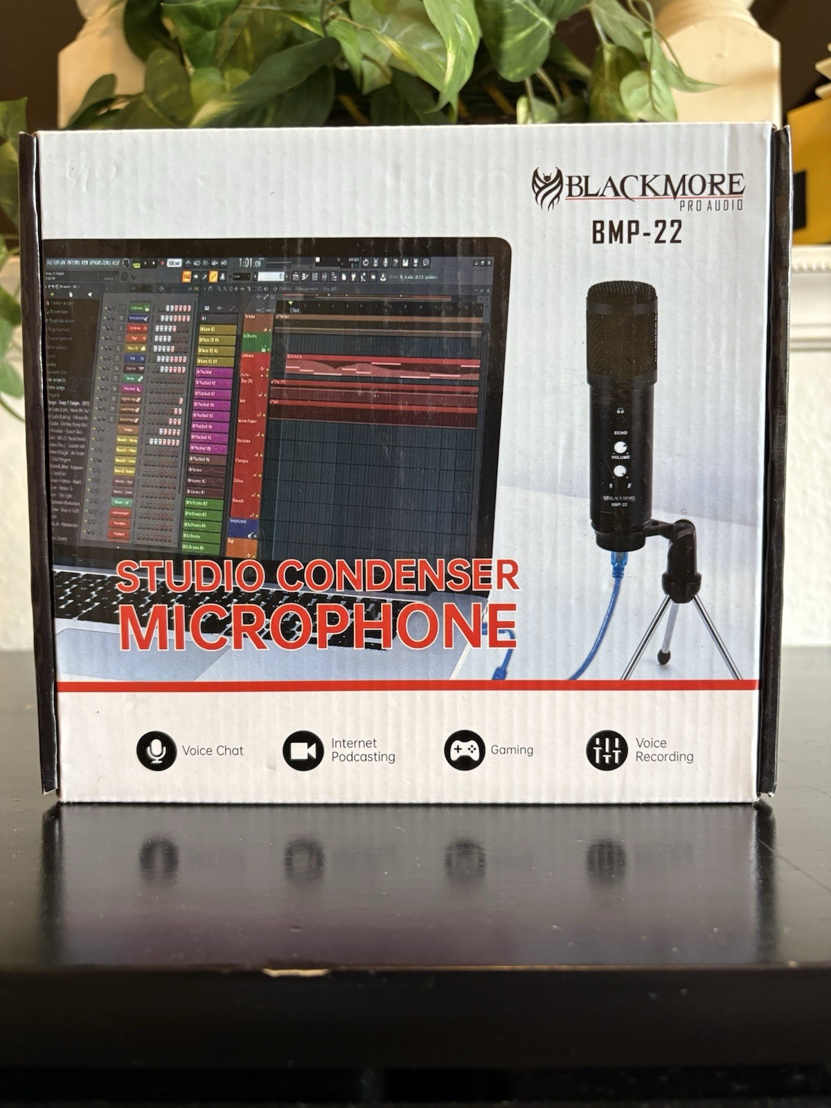 Blackmore Pro Audio, Condenser Microphone BMP – 22