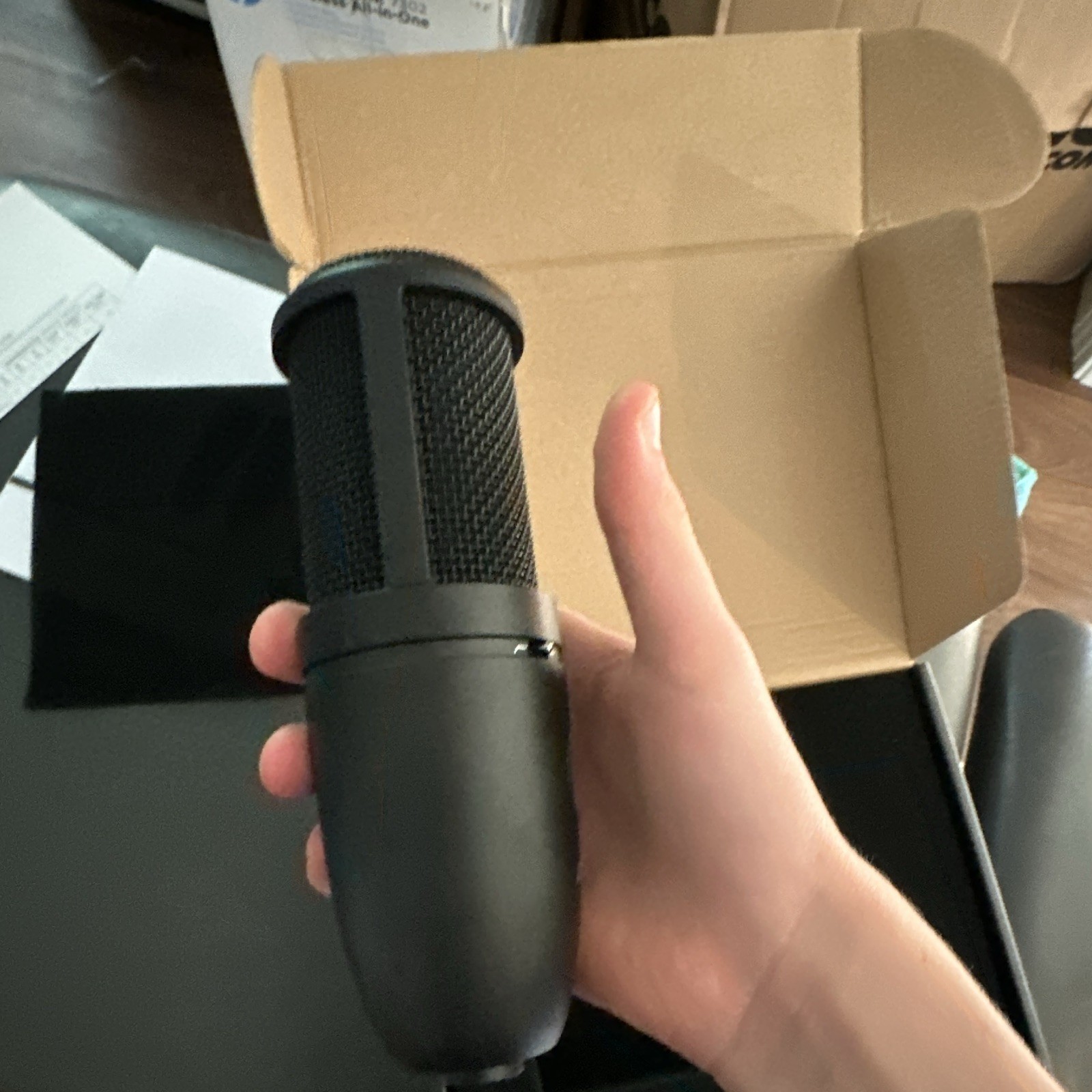 AKG P120 Cardioid Condenser Microphone XLR Wired Black w/ Box & Manuals