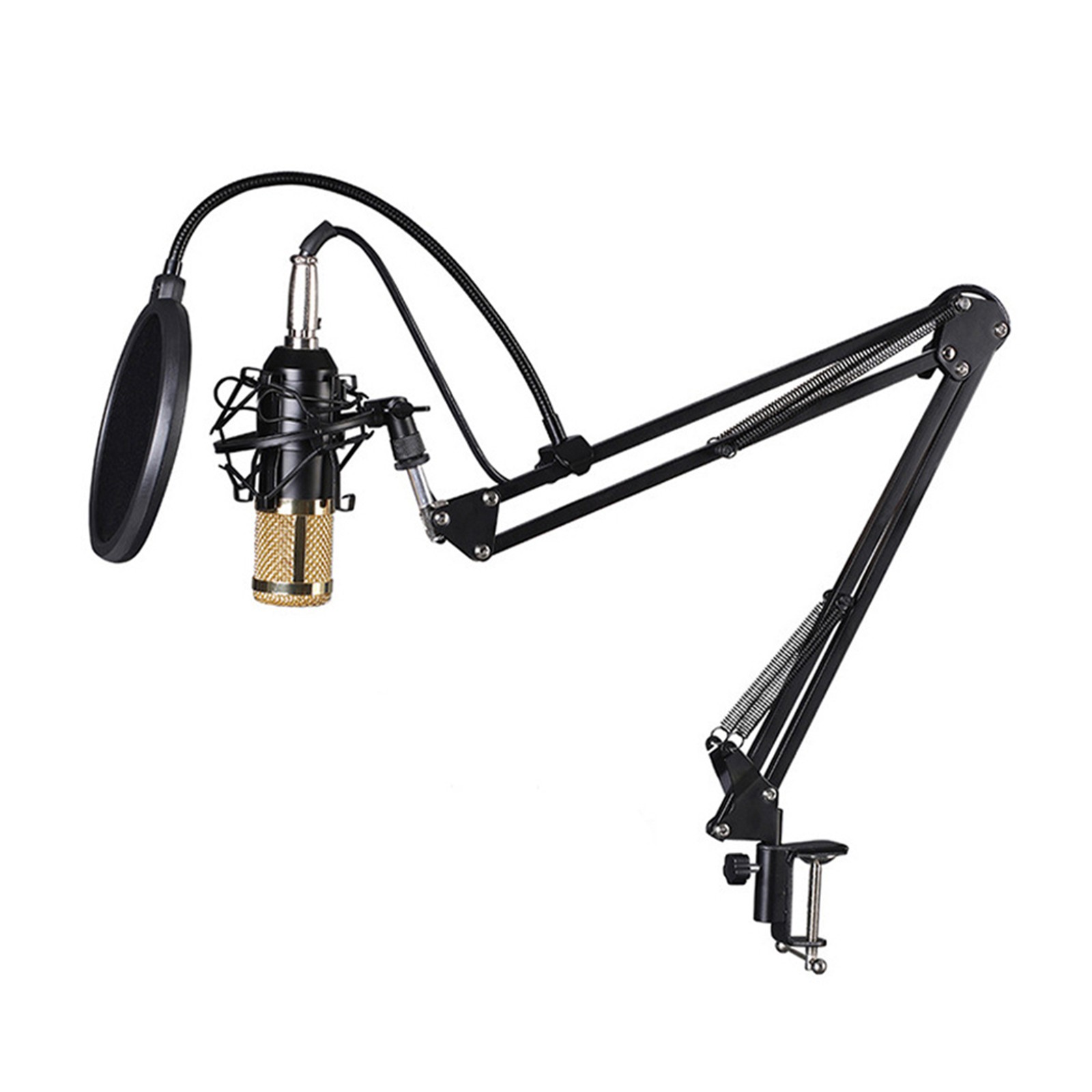 Multifunctional Live V9 Sound Card And BM800 Suspension Microphone Kit RLWX