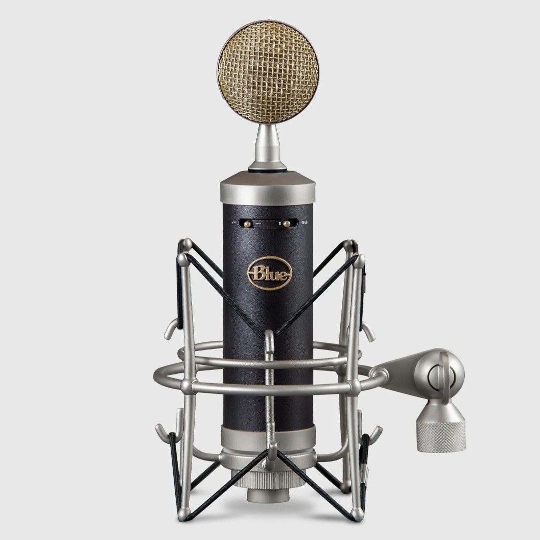 Blue Microphones Baby Bottle SL Large-diaphragm Condenser Microphone 