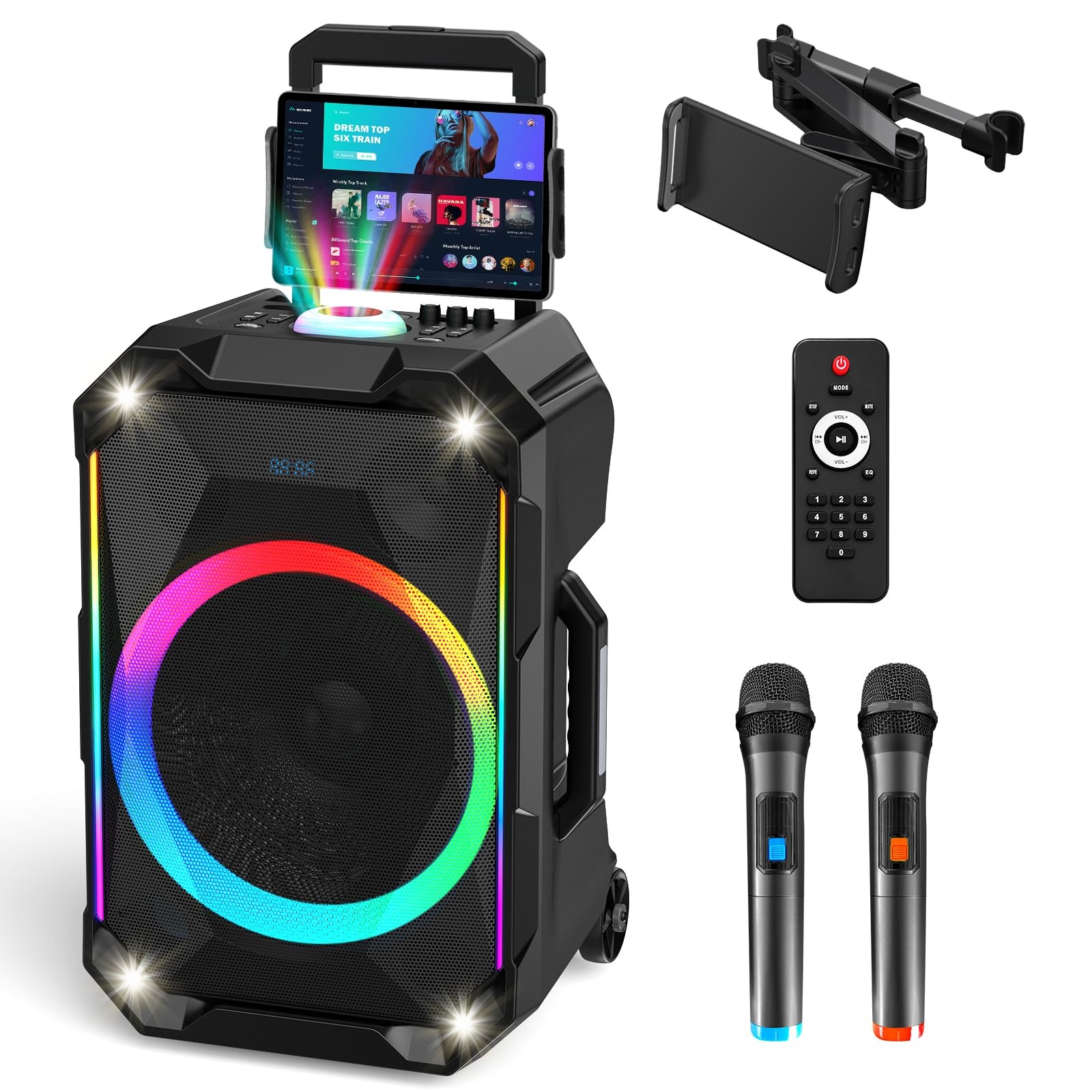 Karaoke Machine for Adults with 2 Wireless Microphones, Portable 12″, Black