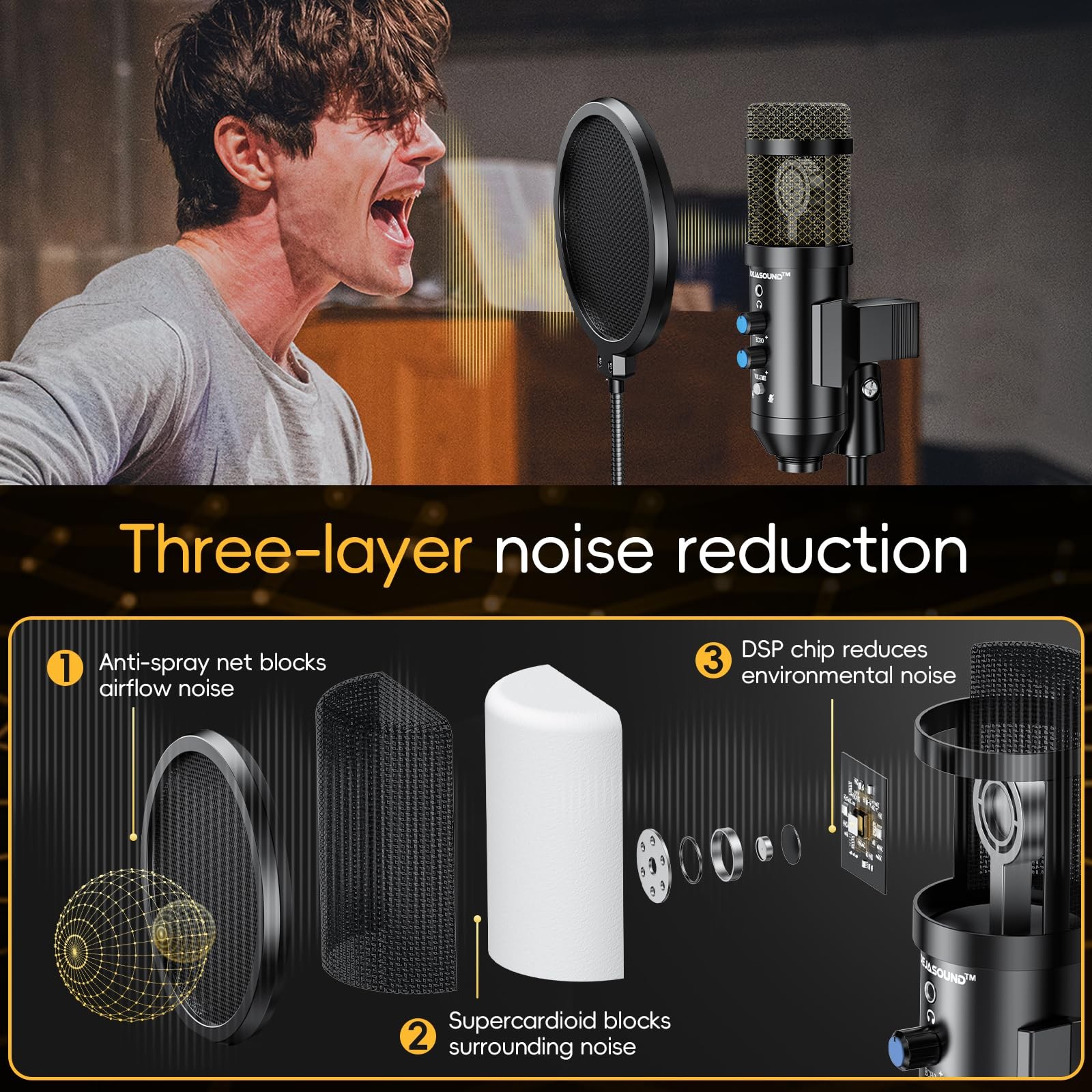 Upgraded Studio Recording Microphone with Isolation Shield & Pop Filter – Mus…