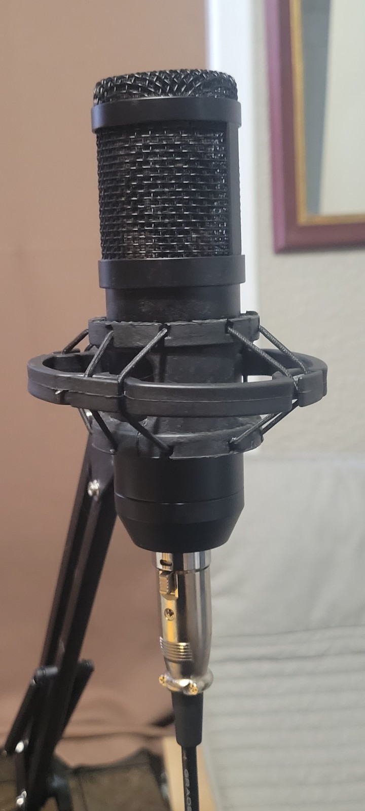 W2ENY Studio Desk Microphone