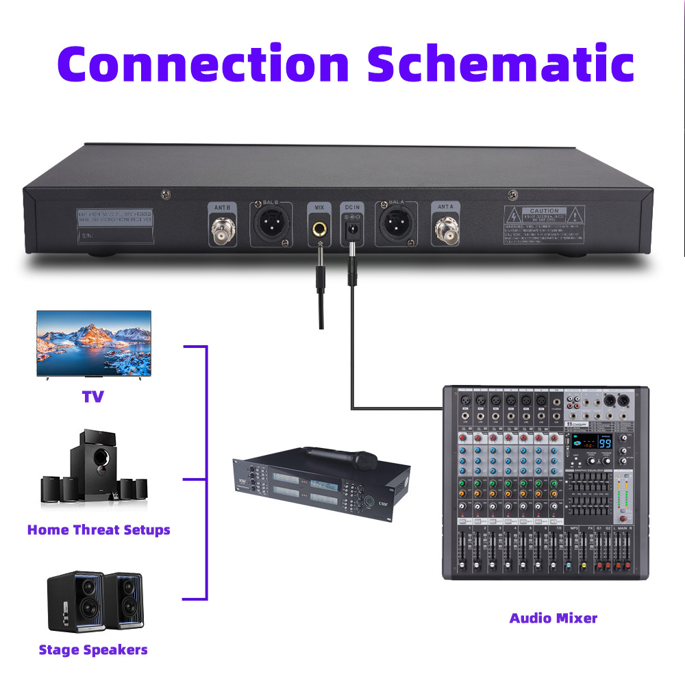 Professional Rackmount Dual Wireless Mics Lossless Audio Full Accessory Kit