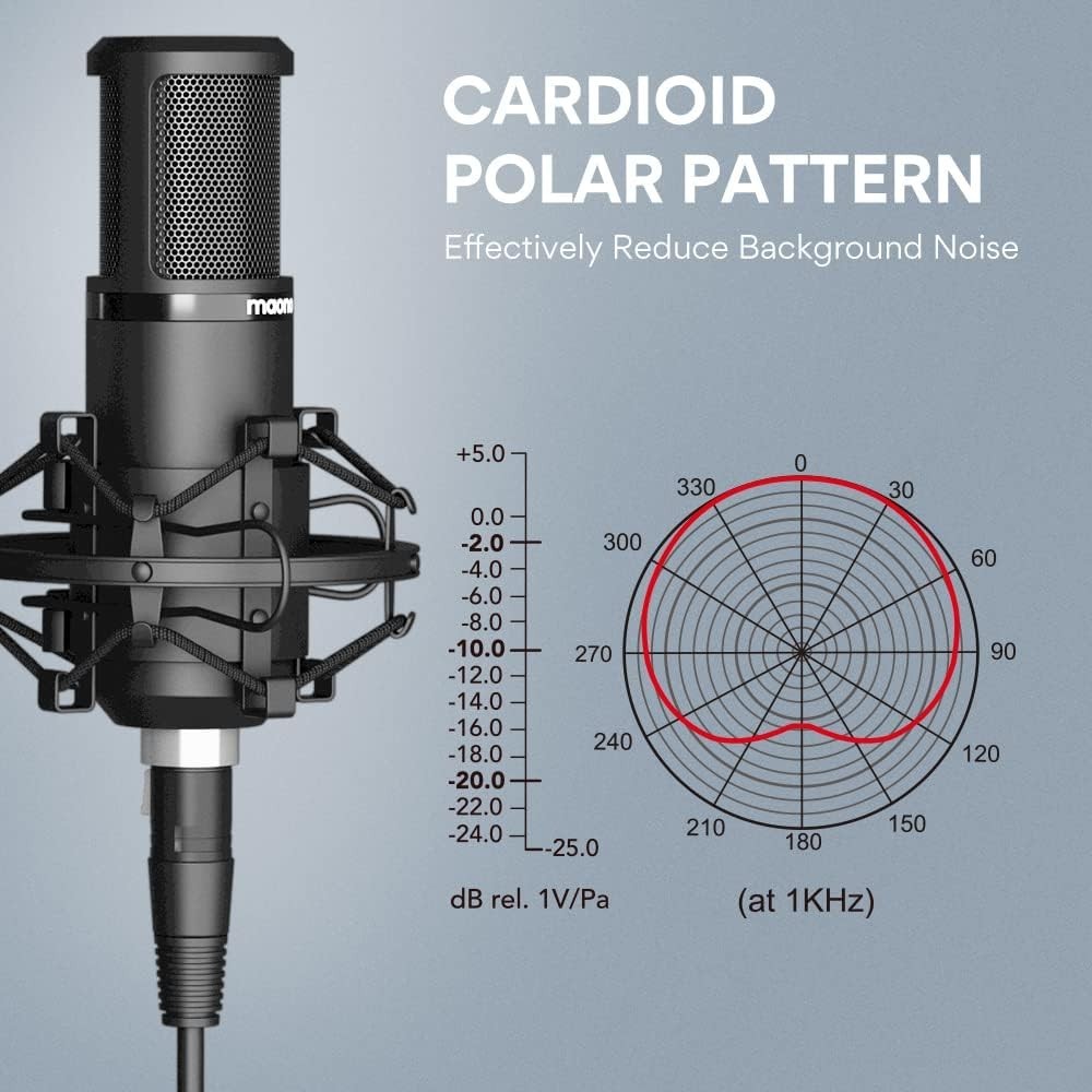 Professional XLR Condenser Mic Set | Boom Arm, Pop Filter