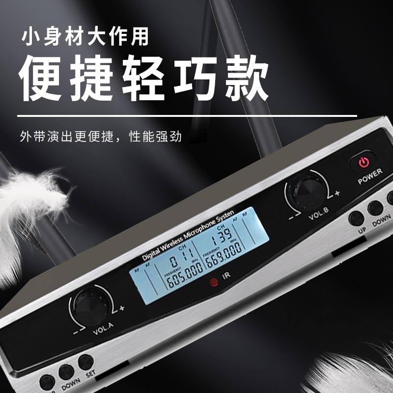 Wireless One with Two Microphone Professional Karaoke for KTV Home Wedding Stage