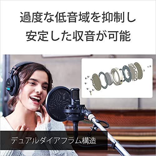 SONY C-80 Unidirectional Condenser Microphone Capsule Black Voice Recording Home