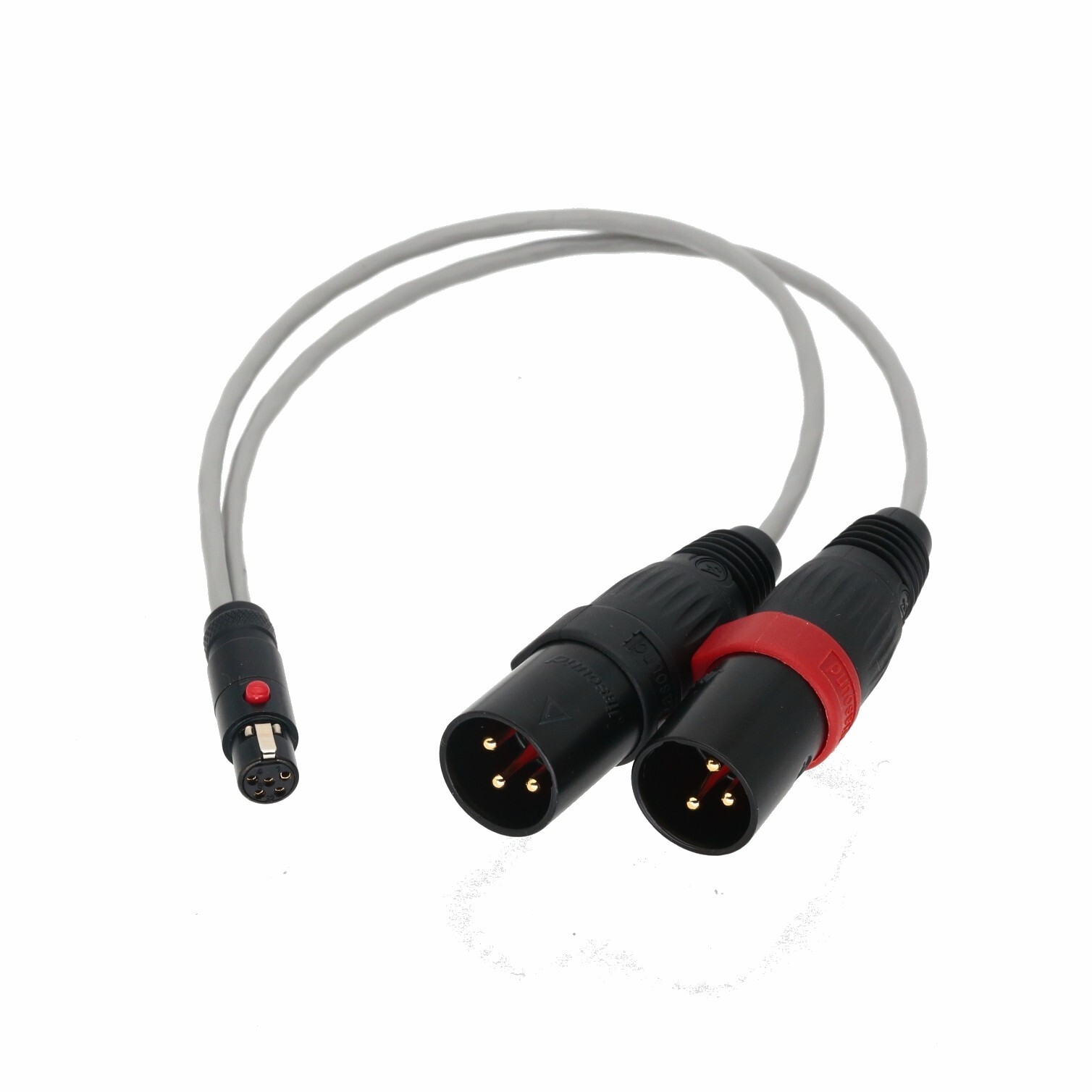 Mini XLR 5P TA5F to L+R Large XLR Male 3Pin 1′ L2B2AT Microphone Amplifier Cable