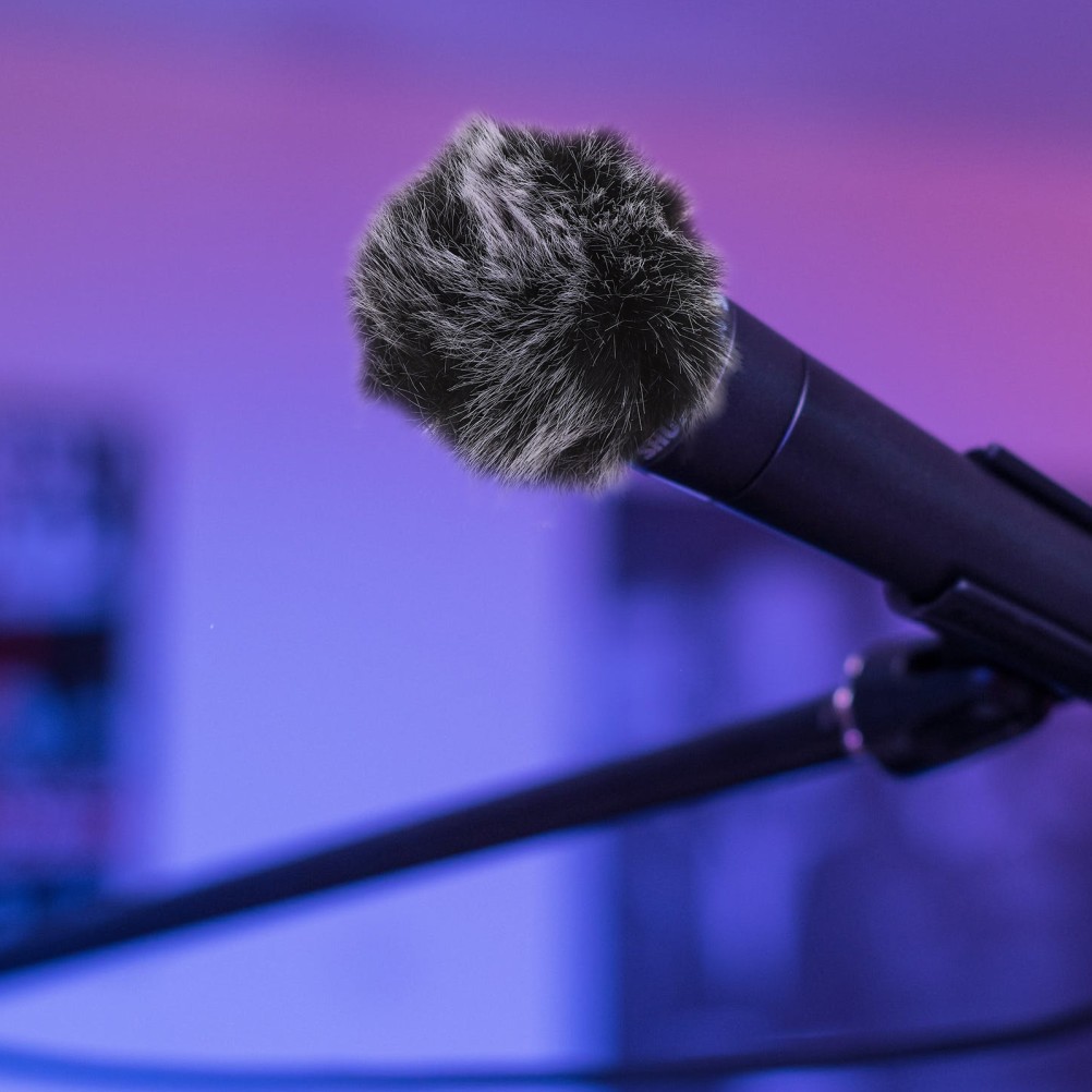 2Pcs Splash-proof Microphone Sleeve Practical Professional Microphone Cover