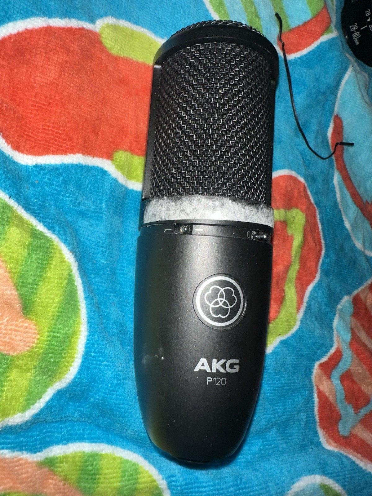 AKG P120 Condenser Microphone **Mic Only** (WMP015349)