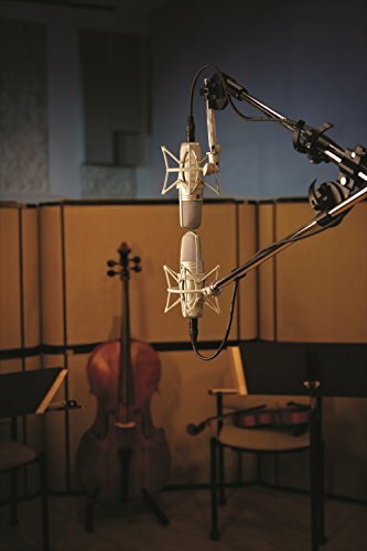 SHURE Vocal Condenser Microphone KSM44ASL-X [Official Japanese Product]