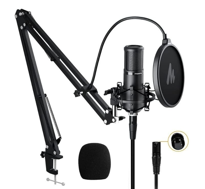 Professional Cardioid XLR Condenser Microphone with Boom Arm & Pop Filter for St