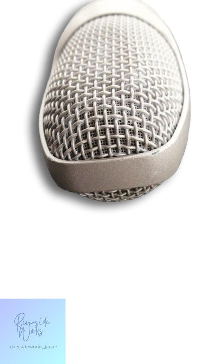 AKG C3000B Condenser Microphone for Studio Recording