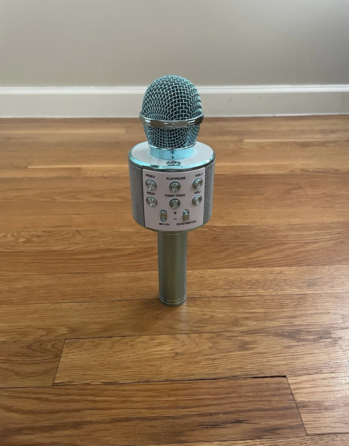 microphone