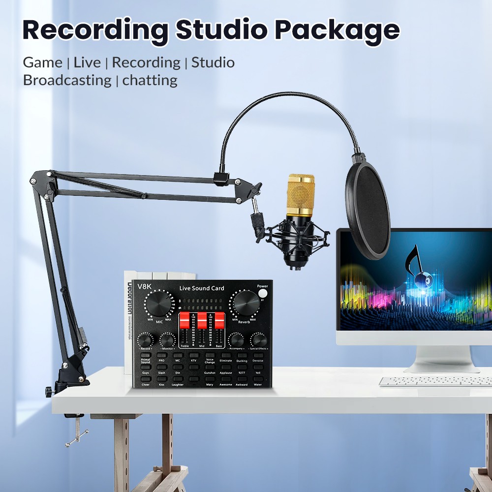 Complete Home 2* Studio Recording Kit Mixer Condenser Microphones Music Podcast