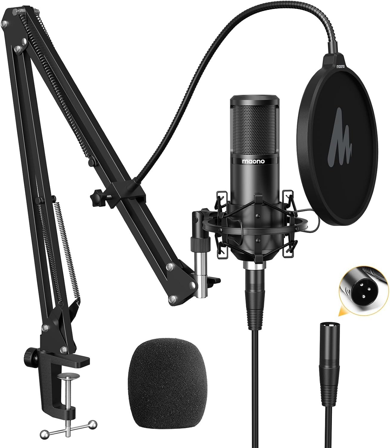 XLR Condenser Microphone, Professional Cardioid Studio Mic with Boom Arm, Pop Fi