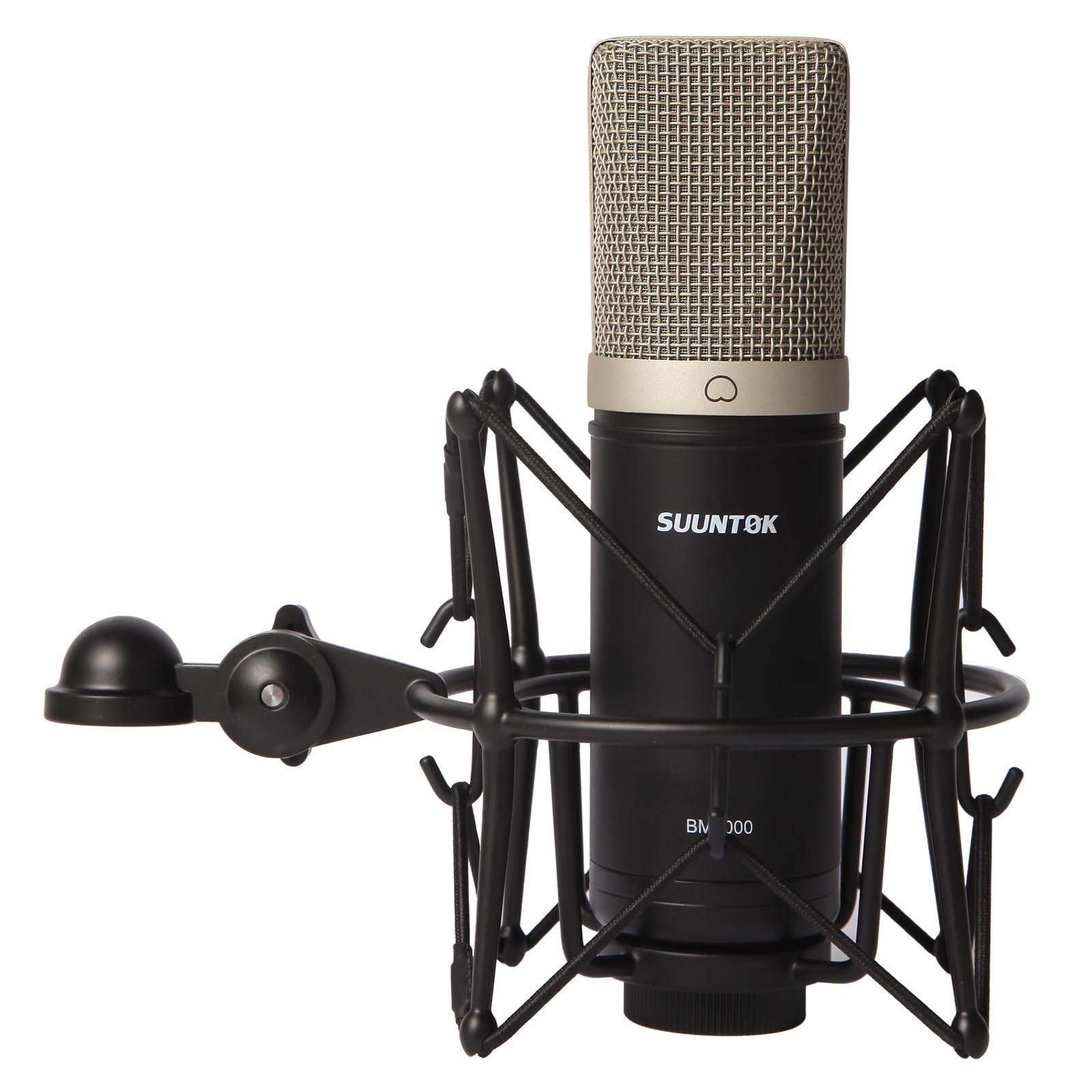 Condenser Microphone XLR, Large Diaphgram Professional Recording Cardioid Mic…