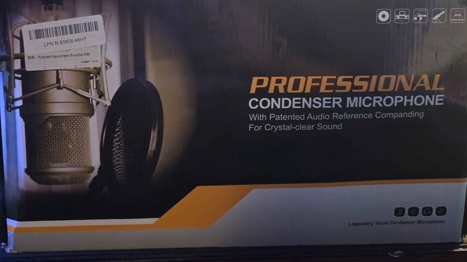 SINWE PROFESSIONAL MIC