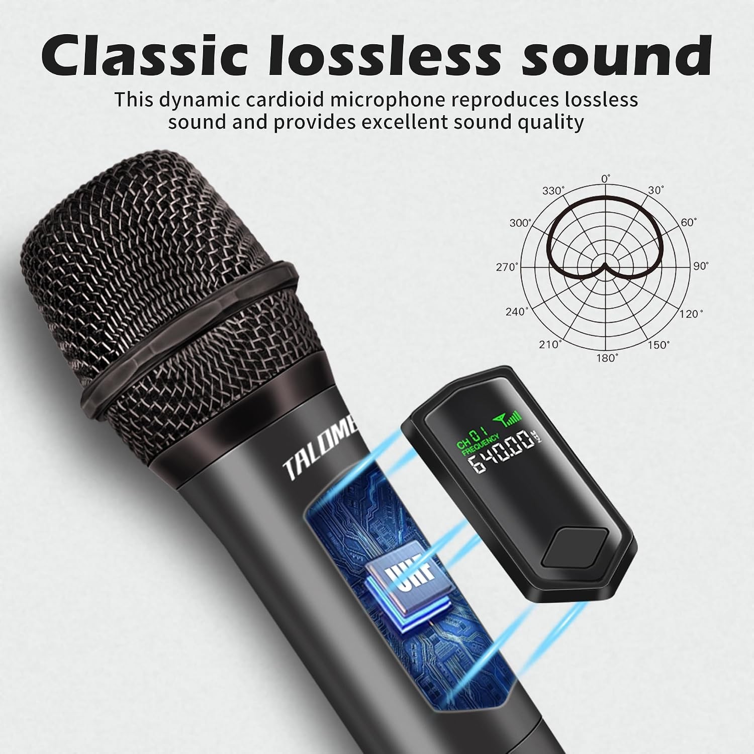 Professional Wireless Dual Handheld Microphone System