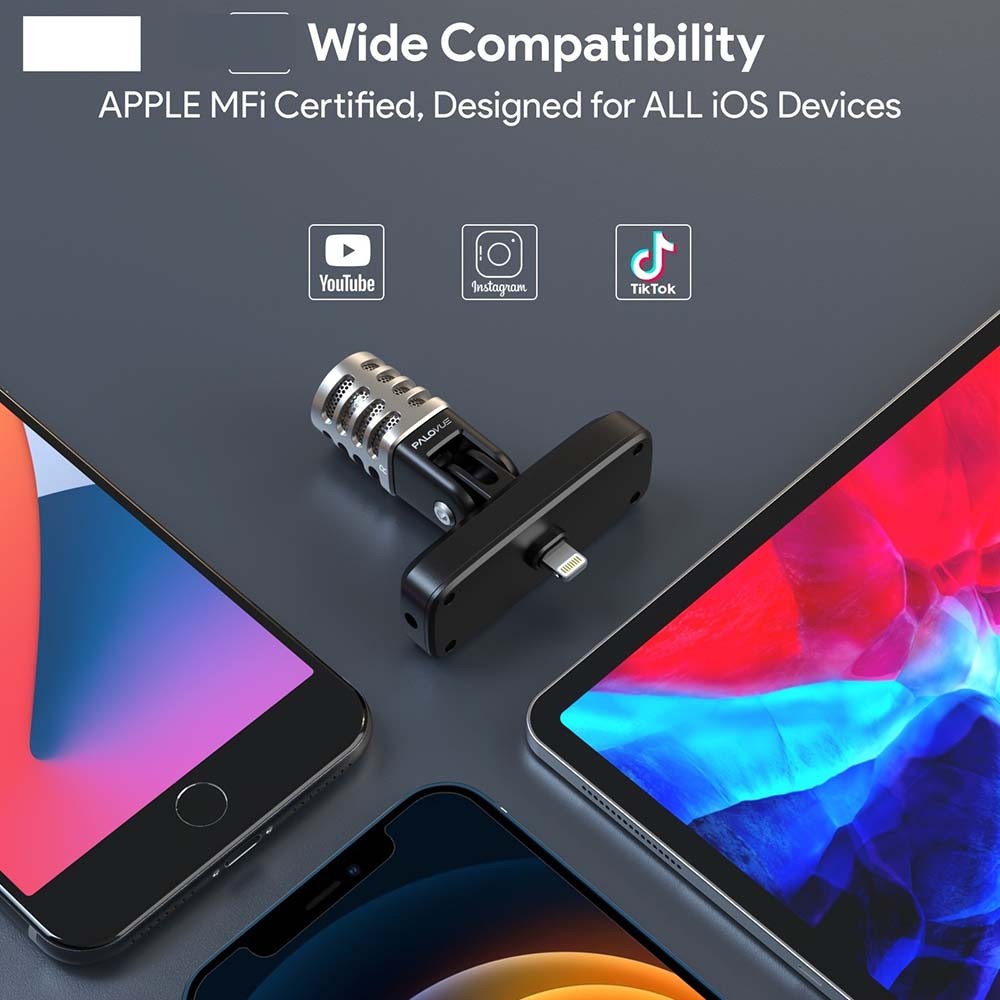 Durable Sturdy Lightweight Compact User-Friendly A-Interface Portable Microphone