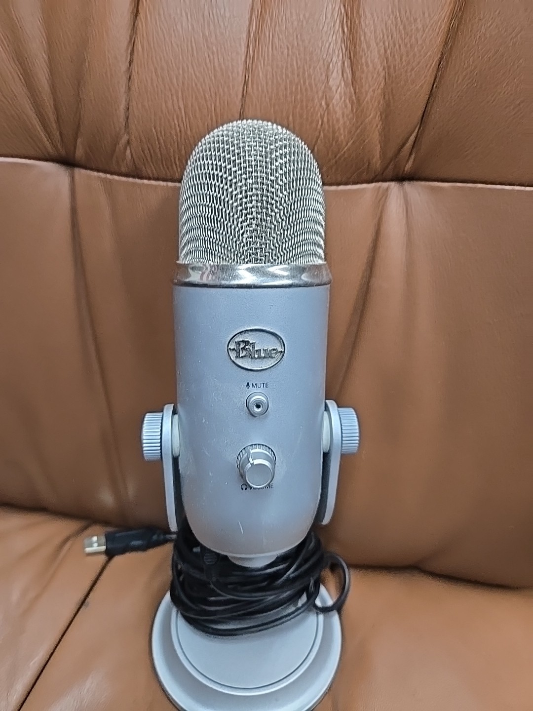 Blue Yeti Professional Multi-Pattern USB Condenser Microphone – Sliver