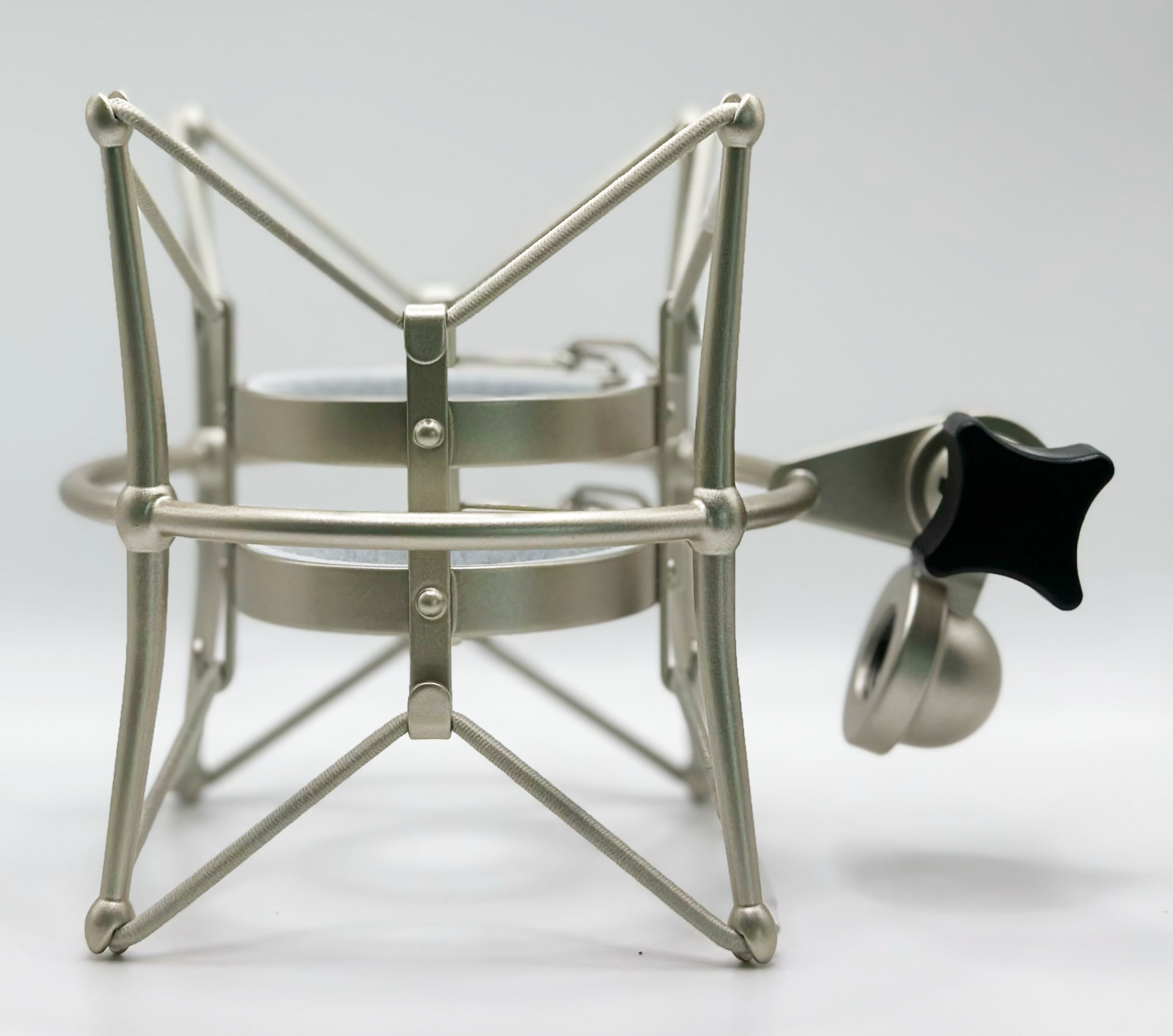 Beesneez B U47 Microphone
