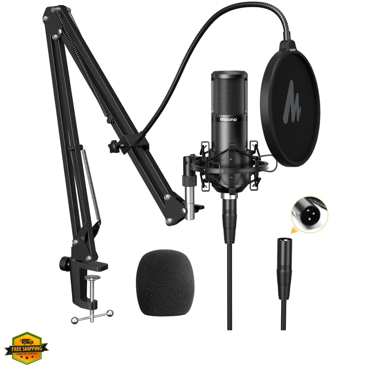 XLR Condenser Microphone, Professional Cardioid Studio Mic with Boom Arm, Pop…