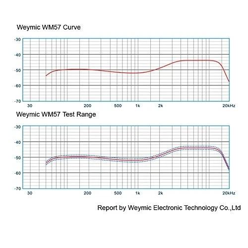 wm57 Dynamic Vocal Classic Style Microphone Audio Instrument Classic Professi…