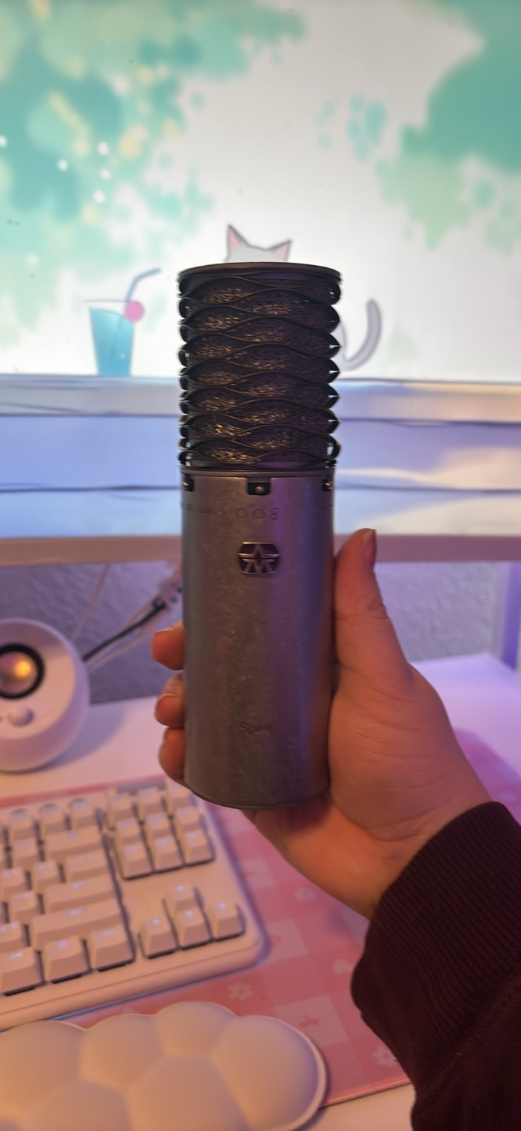 Aston Origin Large Diaphragm Condenser Microphone XLR Silver Built-in Windscreen